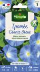 Fleurs - Ipomée grande fleur bleue - PACKAGING_RECTO